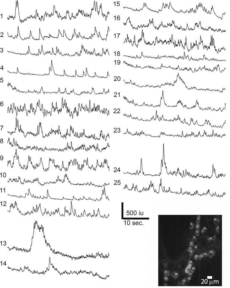 Fig. 2.