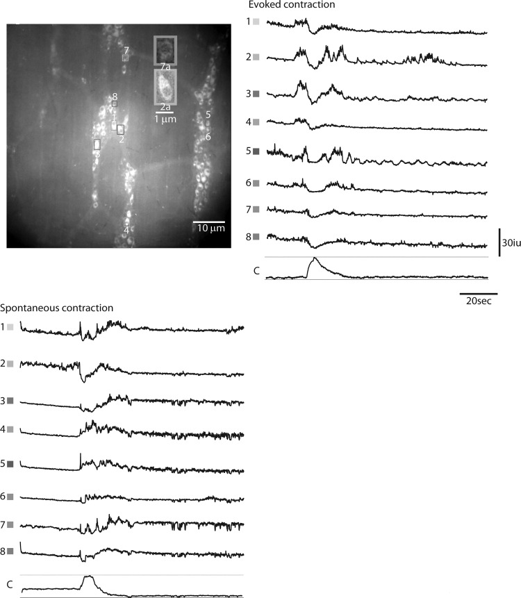 Fig. 6.