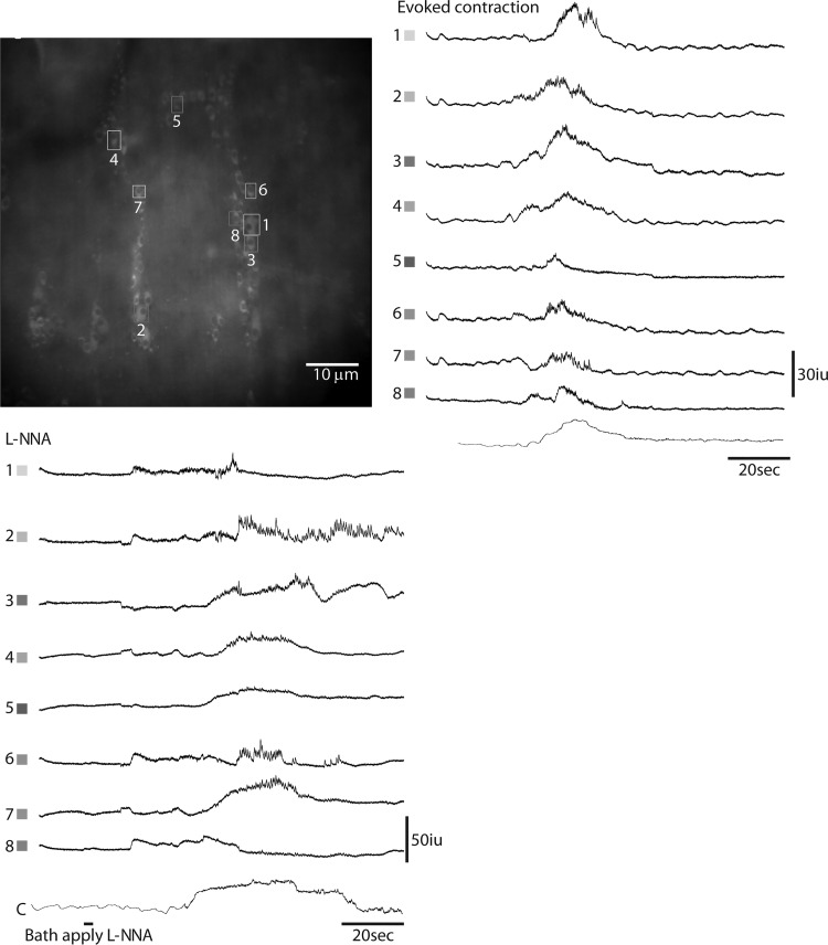 Fig. 8.