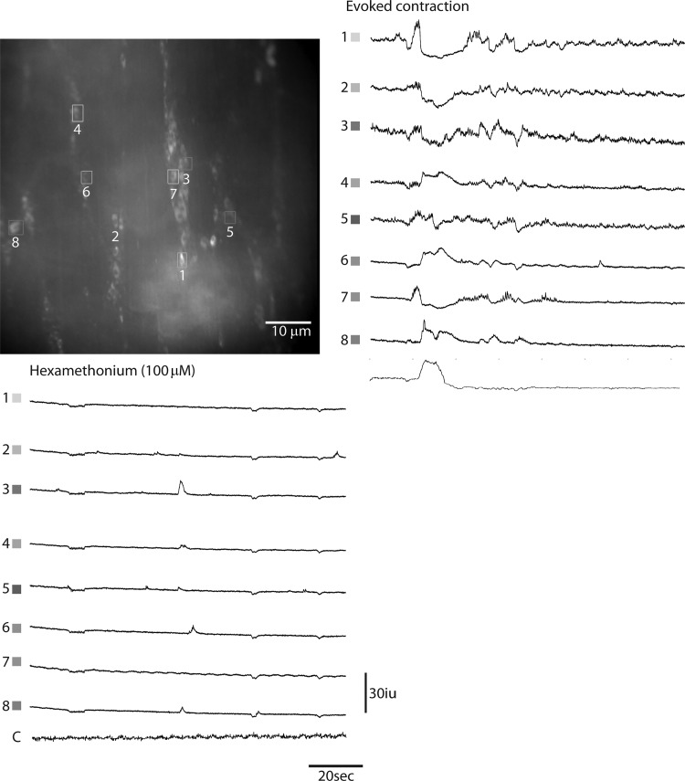 Fig. 7.