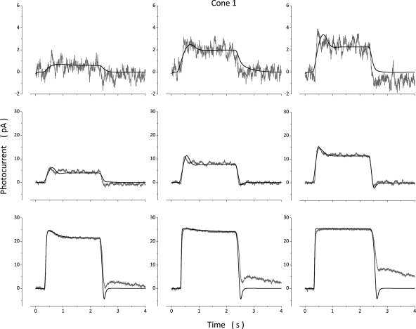 Figure 5.