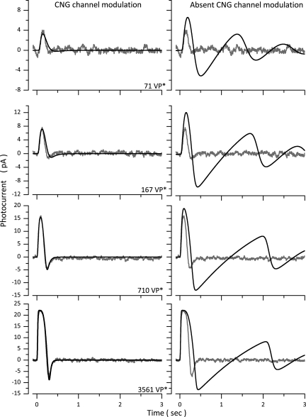 Figure 10.