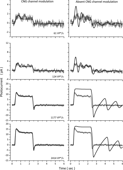 Figure 11.