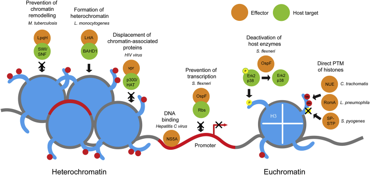 Figure 2