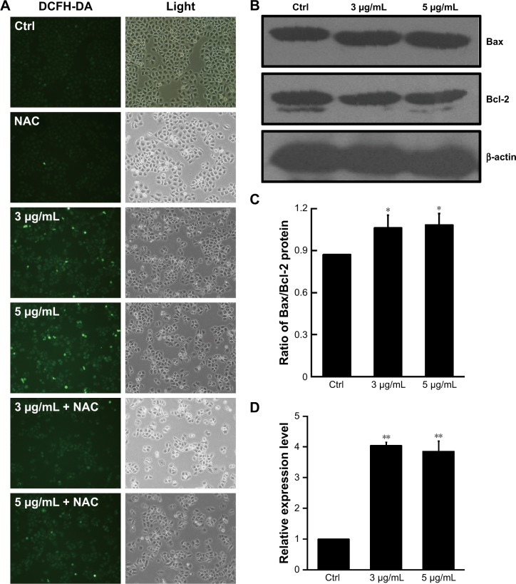 Figure 5