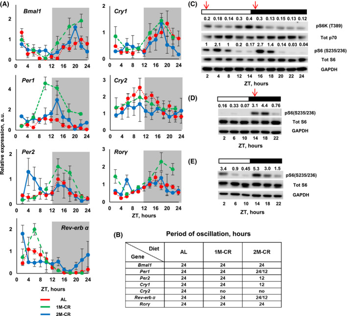 FIGURE 2