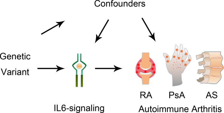 Figure 1