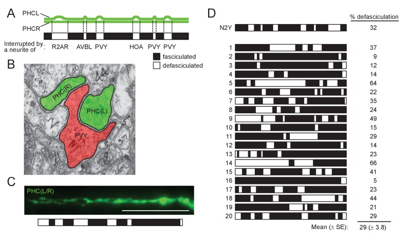 Figure 2—figure supplement 1.