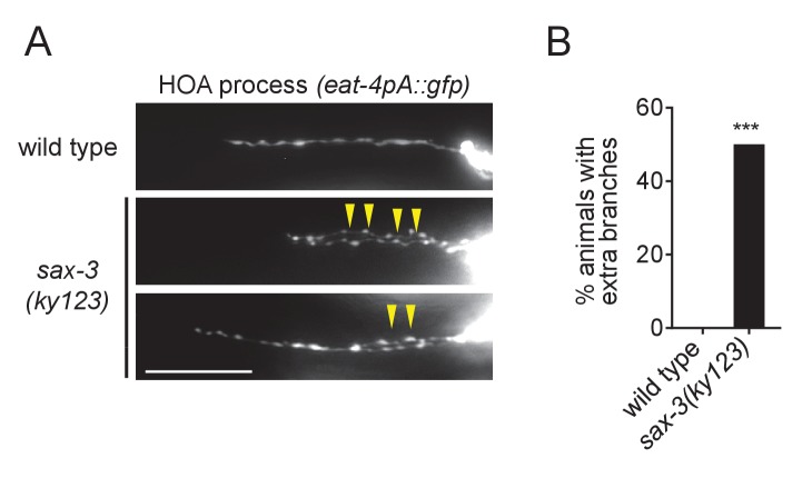 Figure 1—figure supplement 2.