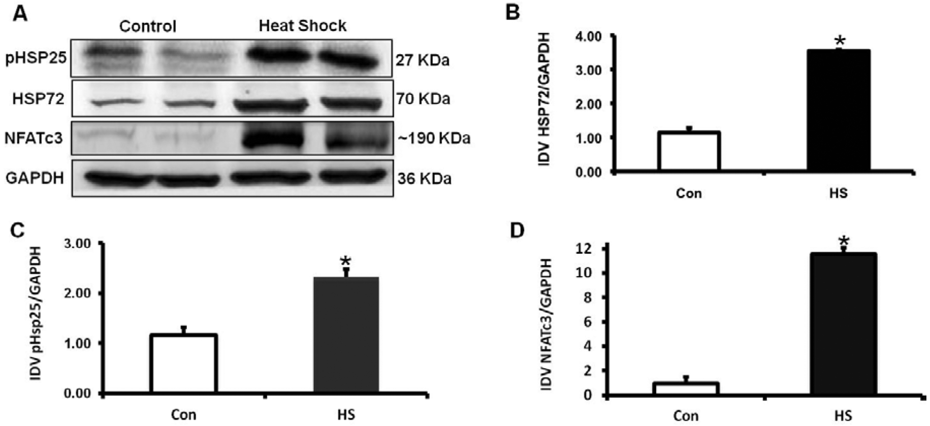 Fig. (3).