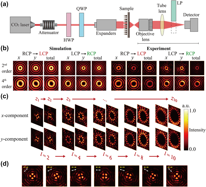 Figure 4: