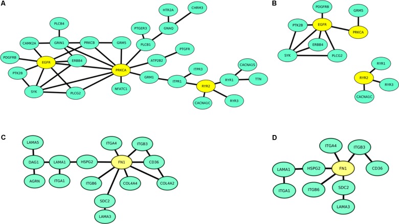 FIGURE 2