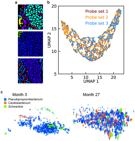 Extended Data Figure 10.