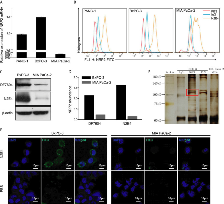 Figure 2