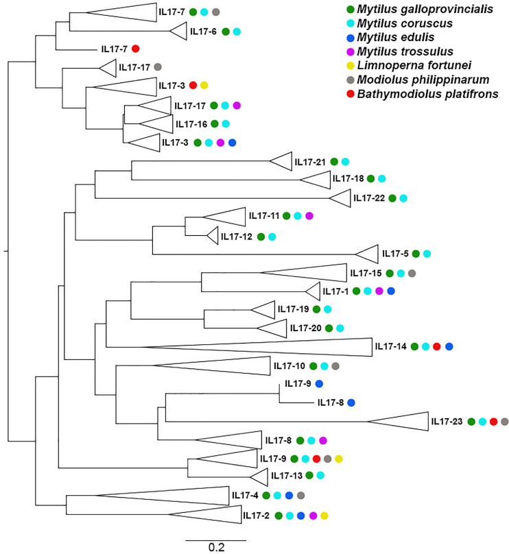 Figure 3