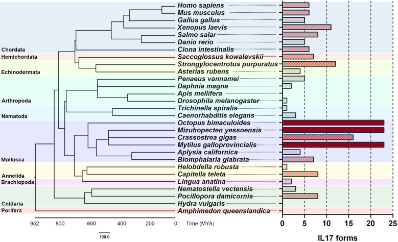 Figure 4