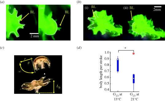 Figure 2.