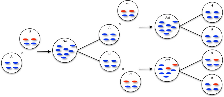 Figure 2.