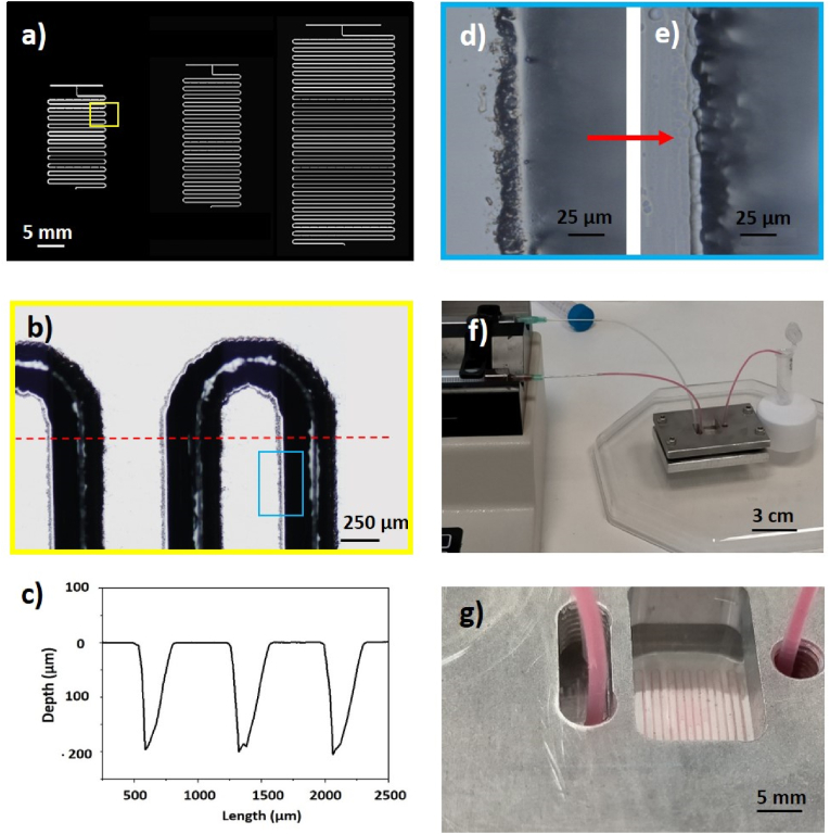 Fig. 1