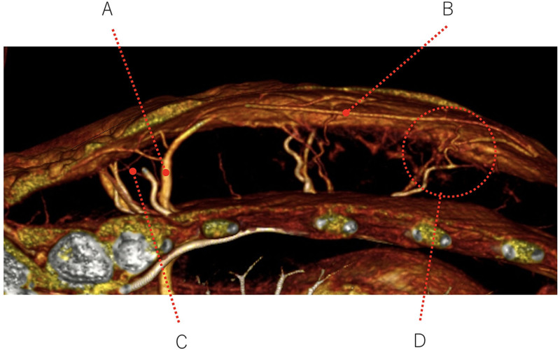 Fig. 5.