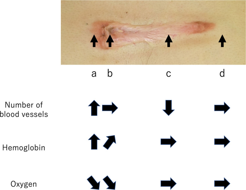 Fig. 10.