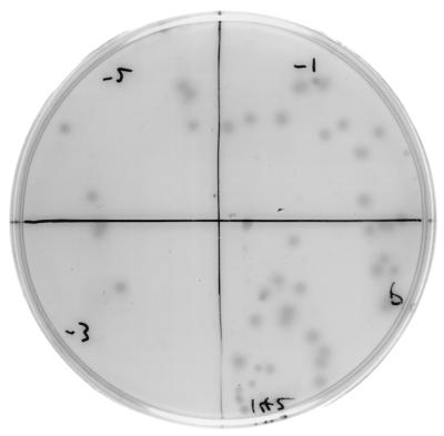 FIG. 1
