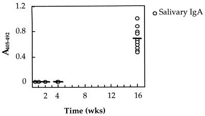 FIG. 5
