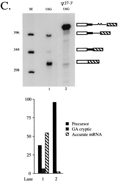 FIG. 7