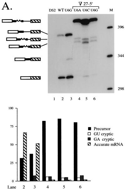 FIG. 7