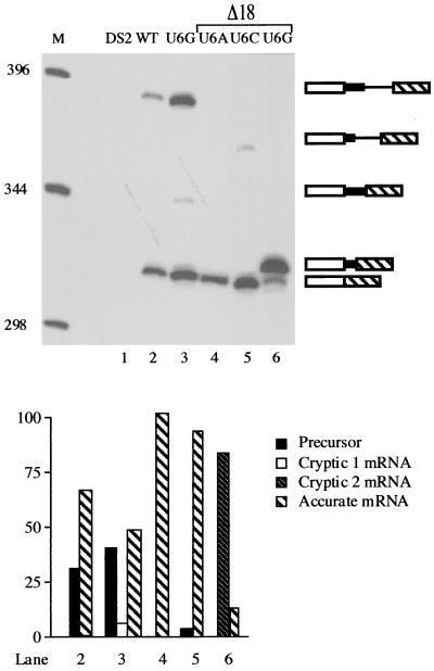 FIG. 6