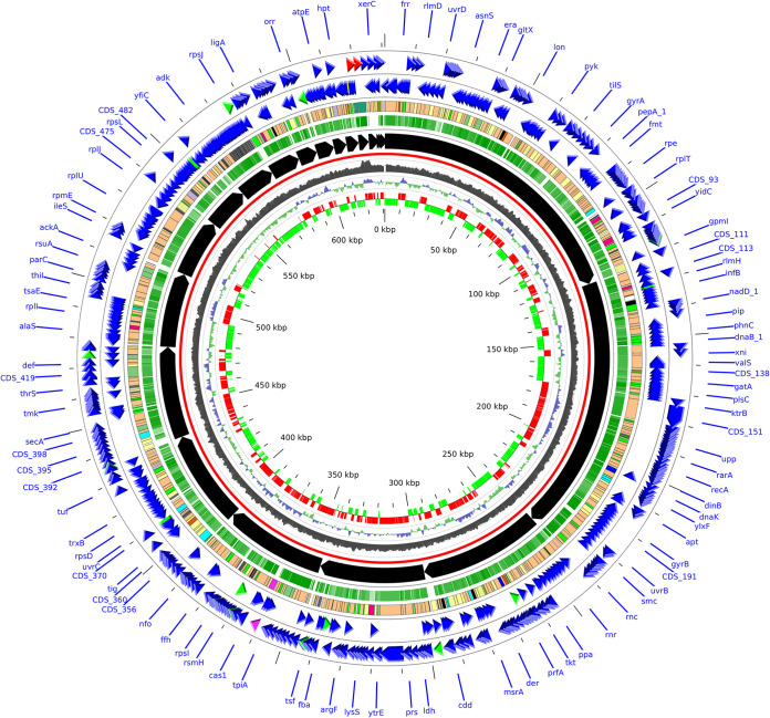 FIG 1