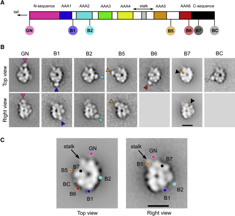 Figure 4