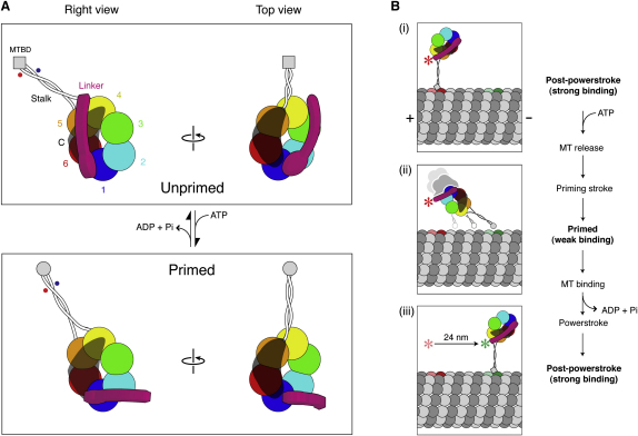 Figure 7