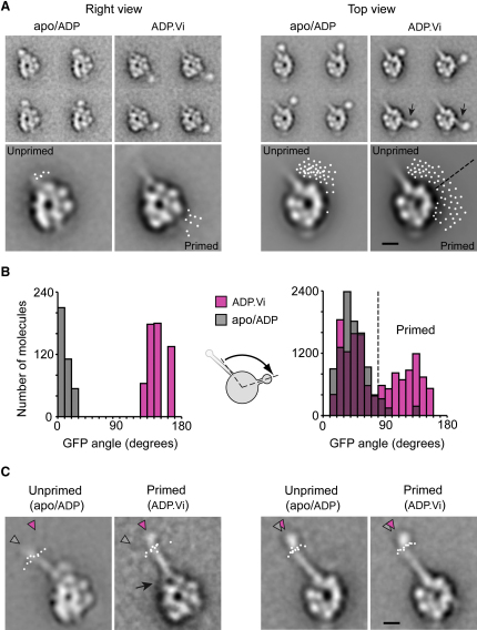 Figure 5