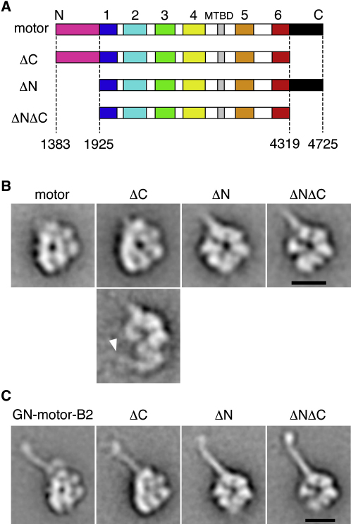 Figure 3