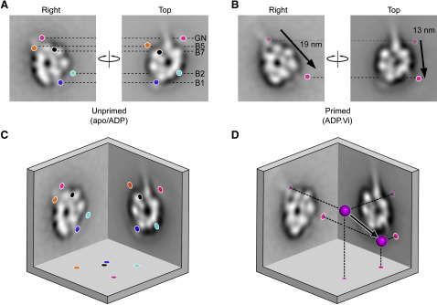 Figure 6