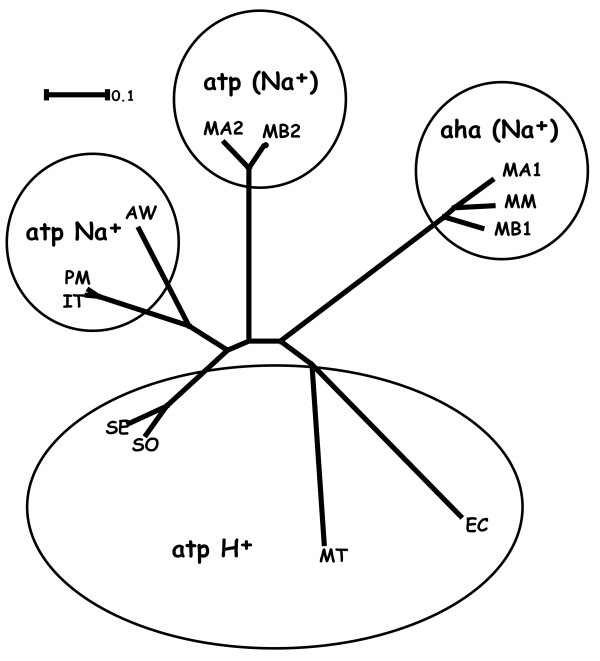 Figure 9