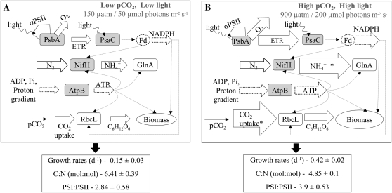 Figure 7.