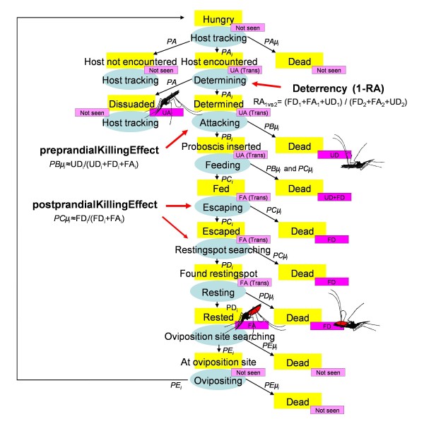 Figure 19