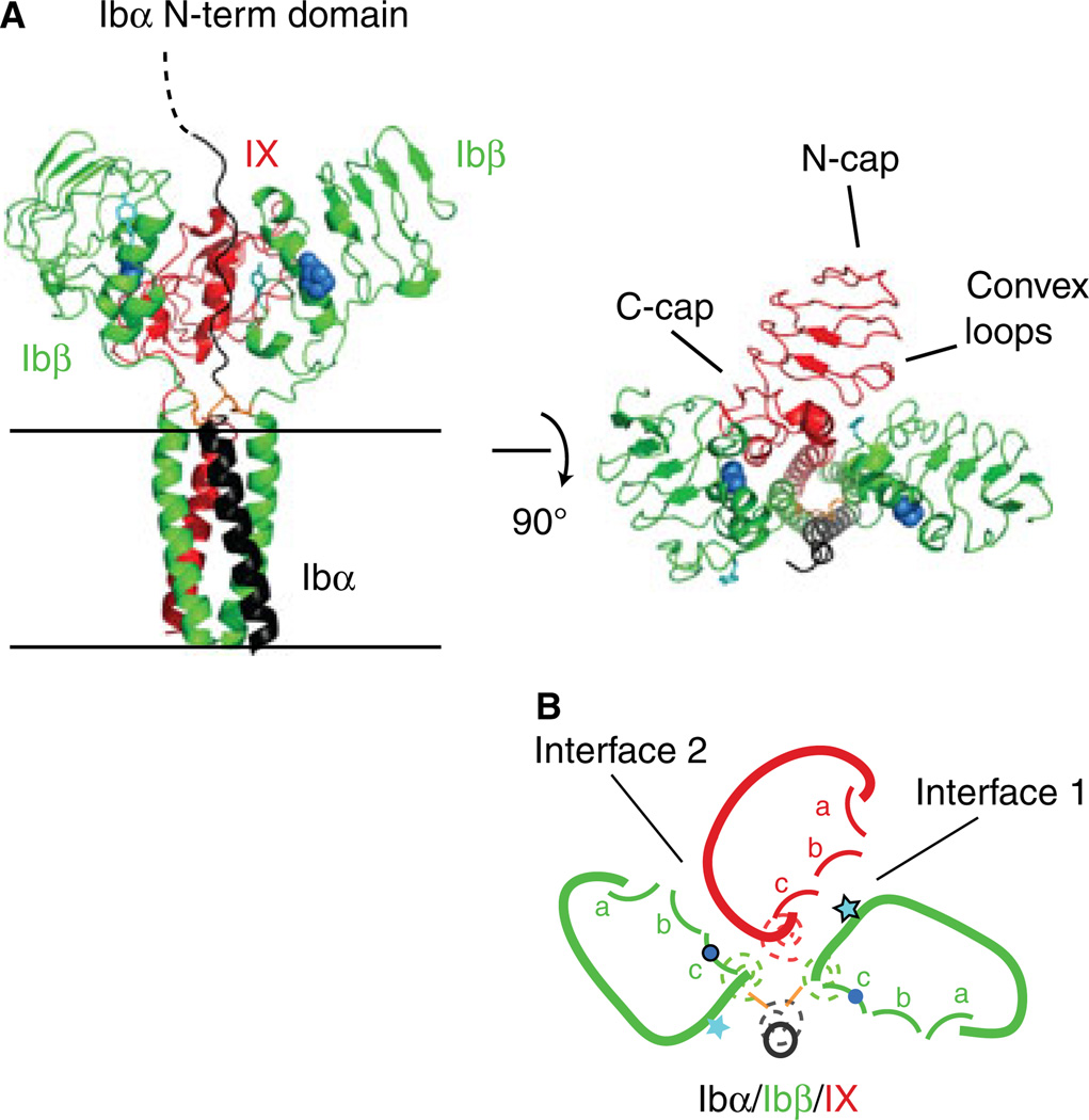 Fig. 1