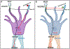 Fig. 4