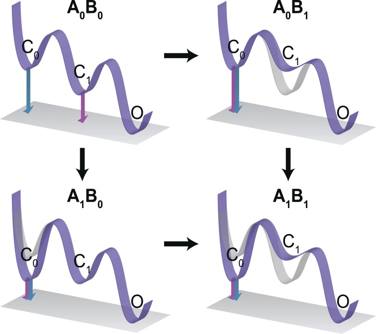 Figure 7.