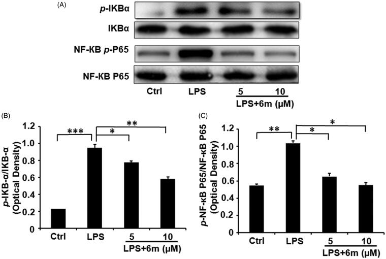 Figure 6.