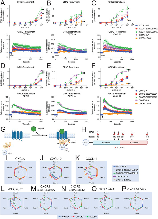 Figure 3: