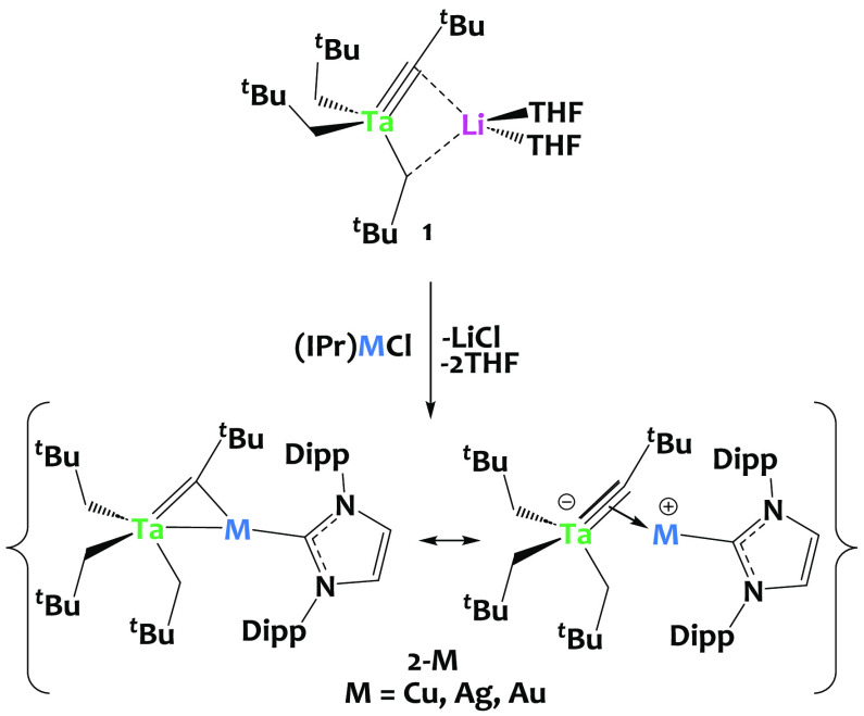 Scheme 2