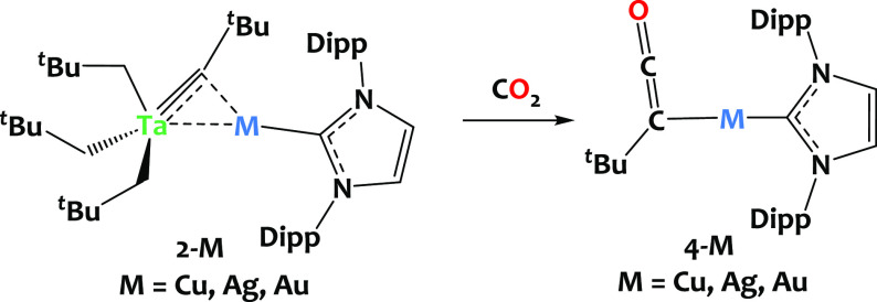 Scheme 4