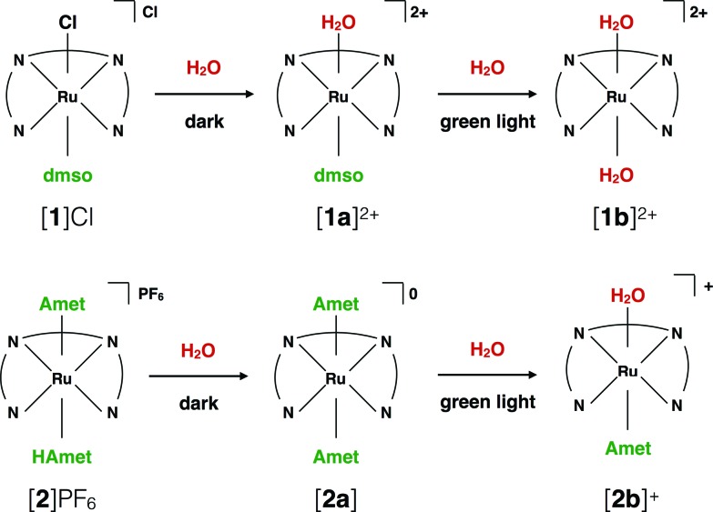 Scheme 2