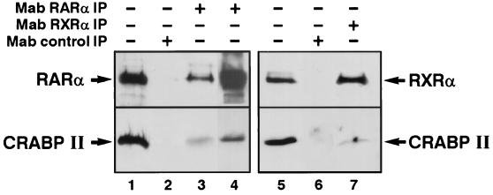 FIG. 7