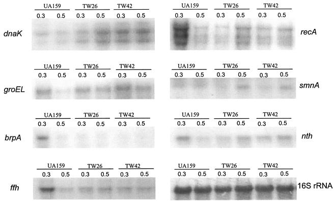 FIG. 8.