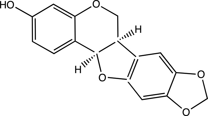 FIGURE 1.